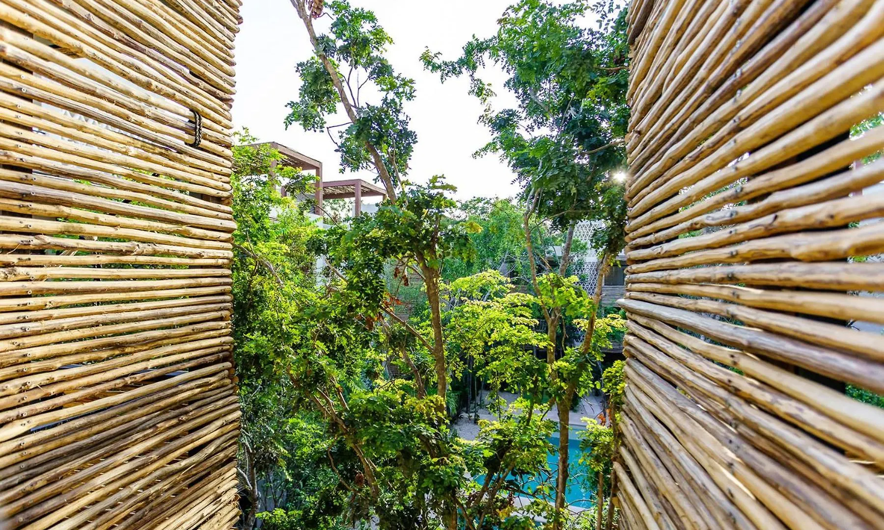 Eco-Sustainable Luxury Between Beach Hotspots & Tulum Town By Stella Rentals